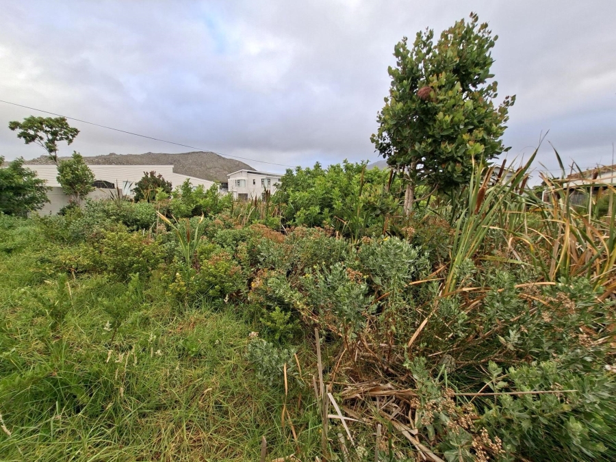 0 Bedroom Property for Sale in Pringle Bay Western Cape